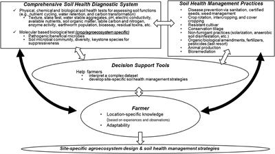 Integrated Soil Health Management for Plant Health and One Health: Lessons From Histories of Soil-borne Disease Management in California Strawberries and Arthropod Pest Management